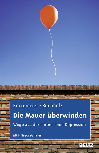 Die Mauer überwinden - Eva-Lotta Brakemeier; Angela Buchholz