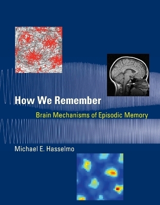 How We Remember - Michael E. Hasselmo