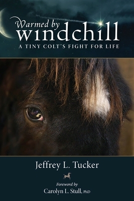 Warmed by Windchill - Jeffrey L. Tucker