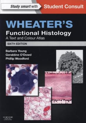 Wheater's Functional Histology - Barbara Young, Geraldine O'Dowd, Phillip Woodford