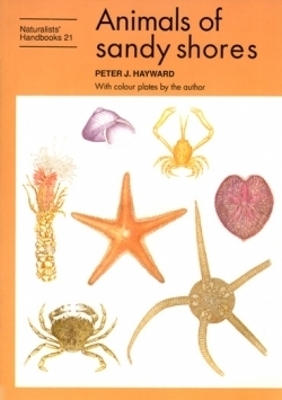 Animals of sandy shores - Peter J. Hayward