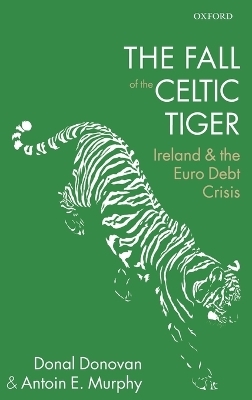 The Fall of the Celtic Tiger - Donal Donovan, Antoin E. Murphy