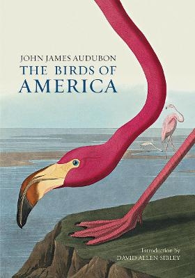 The Birds of America - John James Audubon