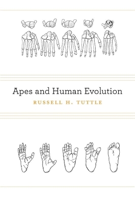 Apes and Human Evolution - Russell H. Tuttle