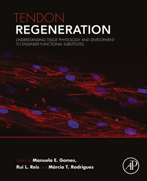 Tendon Regeneration - 