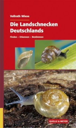 Die Landschnecken Deutschlands - Vollrath Wiese