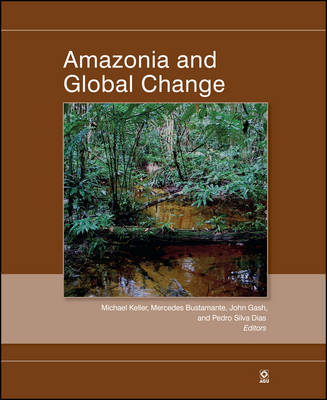 Amazonia and Global Change - 