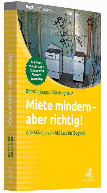 Miete mindern - aber richtig! - Ulf P. Börstinghaus, Cathrin Börstinghaus