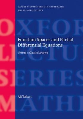 Function Spaces and Partial Differential Equations -  Ali Taheri