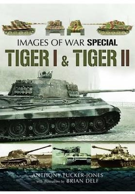 Tiger I and Tiger II - Anthony Tucker-Jones