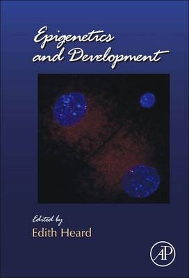 Epigenetics and Development - 