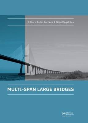 Multi-Span Large Bridges - 