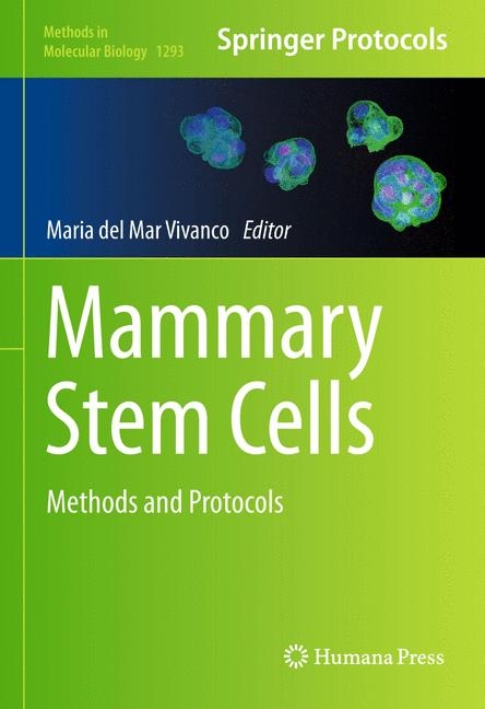 Mammary Stem Cells - 