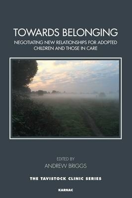 Towards Belonging : Negotiating New Relationships for Adopted Children and Those in Care - 