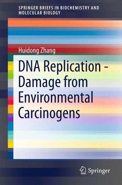 DNA Replication - Damage from Environmental Carcinogens - Huidong Zhang