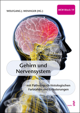 Gehirn und Nervensystem - Wolfgang J. Weninger