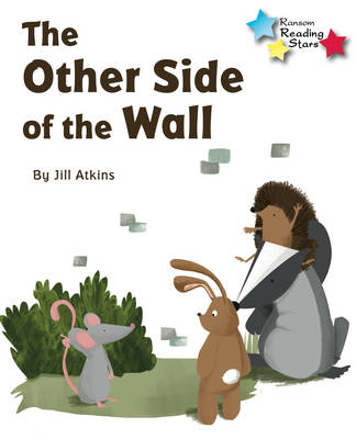 Other Side of the Wall -  JILL ATKINS