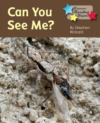 Can You See Me -  Stephen Rickard