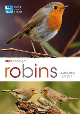 RSPB Spotlight: Robins -  Marianne Taylor