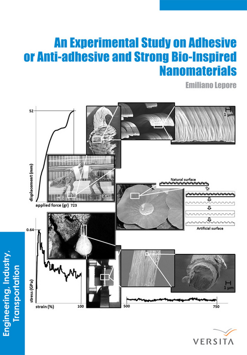 Experimental Study on Adhesive or Anti-adhesive, Bio-inspired Experimental Nanomaterials -  Emiliano Lepore,  Nicola Pugno