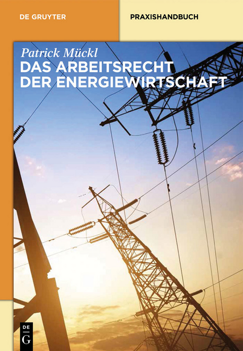 Das Arbeitsrecht der Energiewirtschaft -  Patrick Mückl