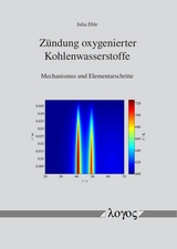 Zündung oxygenierter Kohlenwasserstoffe - Julia Eble