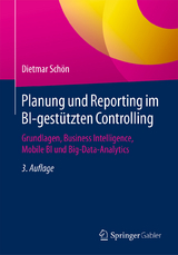 Planung und Reporting im BI-gestützten Controlling - Schön, Dietmar