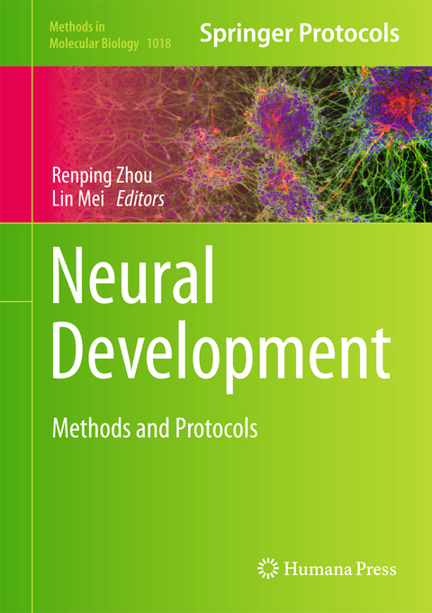 Neural Development - 