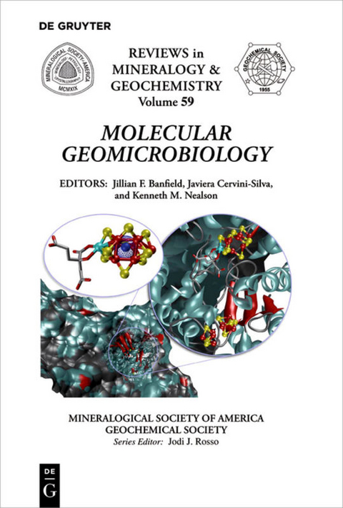 Molecular Geomicrobiology - 