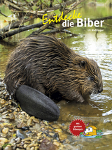 Entdecke die Biber - Ulrich Meßlinger