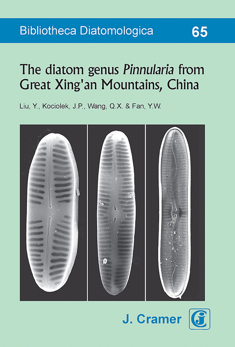 The diatom genus Pinnularia from Great Xing'an Mountains, China - 