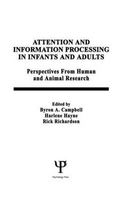 Attention and information Processing in infants and Adults - 