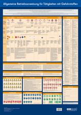 Wandtafel Allgemeine Betriebsanweisung für Tätigkeiten mit Gefahrstoffen - Birett, Karl; Vogler, Helmut