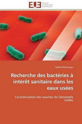 Recherche des bactéries à intérêt sanitaire dans les eaux usées - Nidhal Marzougui