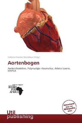 Aortenbogen - 