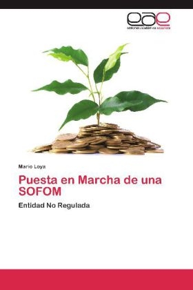 Puesta en Marcha de una SOFOM - Mario Loya