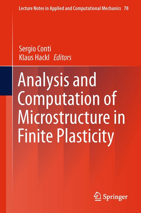 Analysis and Computation of Microstructure in Finite Plasticity - 