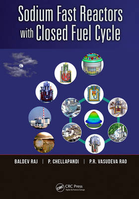 Sodium Fast Reactors with Closed Fuel Cycle - Kalpakkam P. (Indira Gandhi Centre of Atomic Research  India) Chellapandi, Kalpakkam Baldev (Indira Gandhi Centre of Atomic Research  India) Raj, Kalpakkam P.R. (Indira Gandhi Centre of Atomic Research  India) Vasudeva Rao