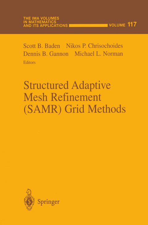 Structured Adaptive Mesh Refinement (SAMR) Grid Methods - 