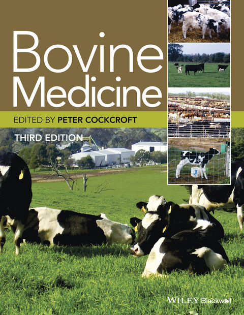 Bovine Medicine - 