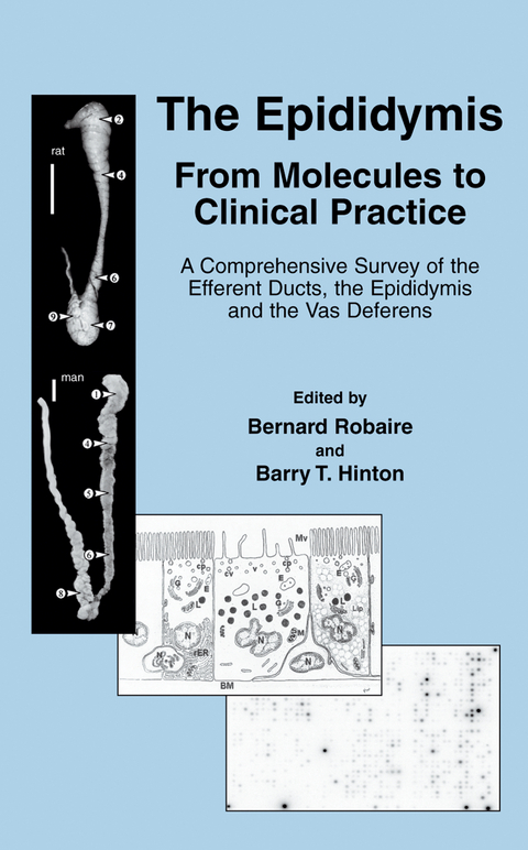 The Epididymis: From Molecules to Clinical Practice - 