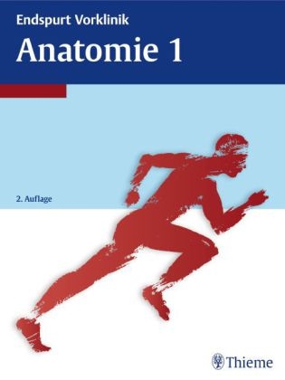 Endspurt Vorklinik: Anatomie 1