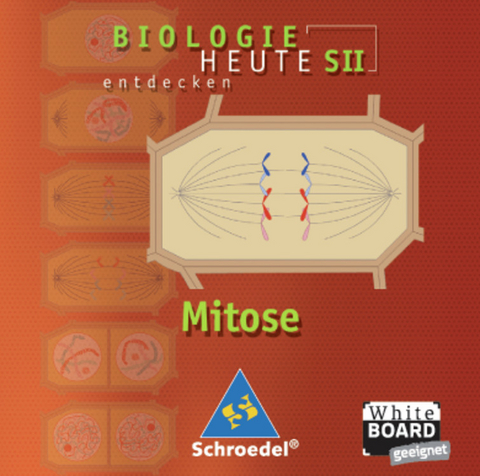 Biologie heute entdecken SII / Mitose