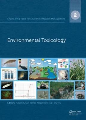 Engineering Tools for Environmental Risk Management - 