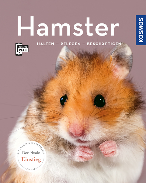 Hamster - Angela Beck