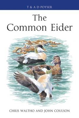 Common Eider -  Chris Waltho,  John Coulson