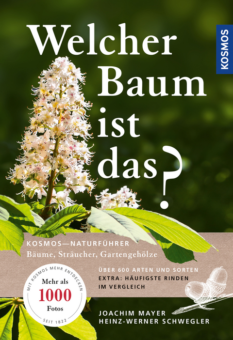 Welcher Baum ist das? - Joachim Mayer, Heinz-Werner Schwegler