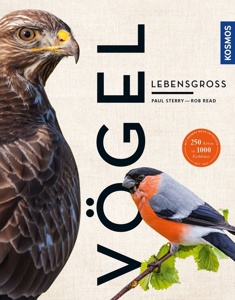 Vögel lebensgroß - Paul Sterry, Rob Read