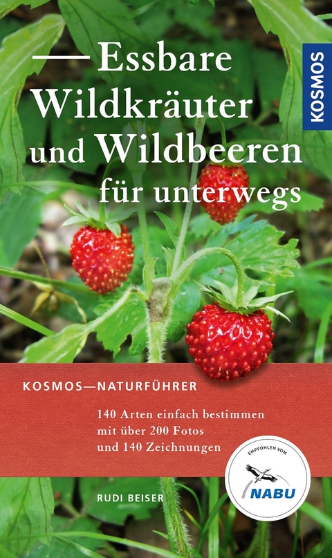 Essbare Wildkräuter und Wildbeeren für unterwegs - Rudi Beiser