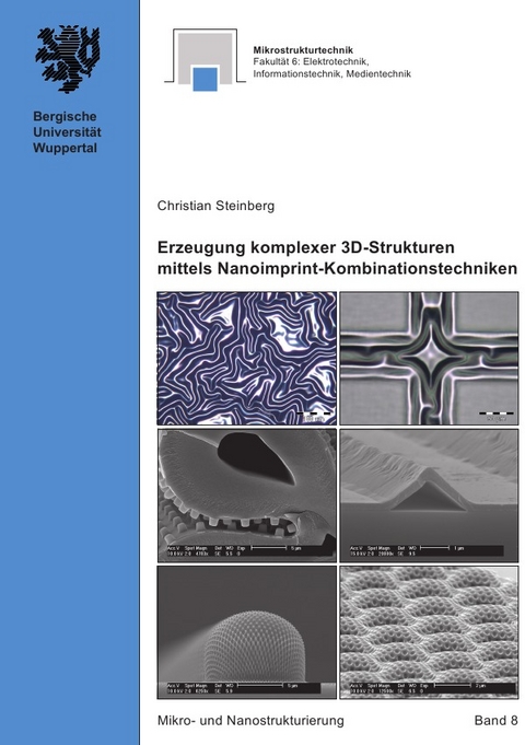 Mikro- und Nanostrukturierung / Erzeugung komplexer 3D-Strukturen mittels Nanoimprint-Kombinationstechniken - Christian Steinberg